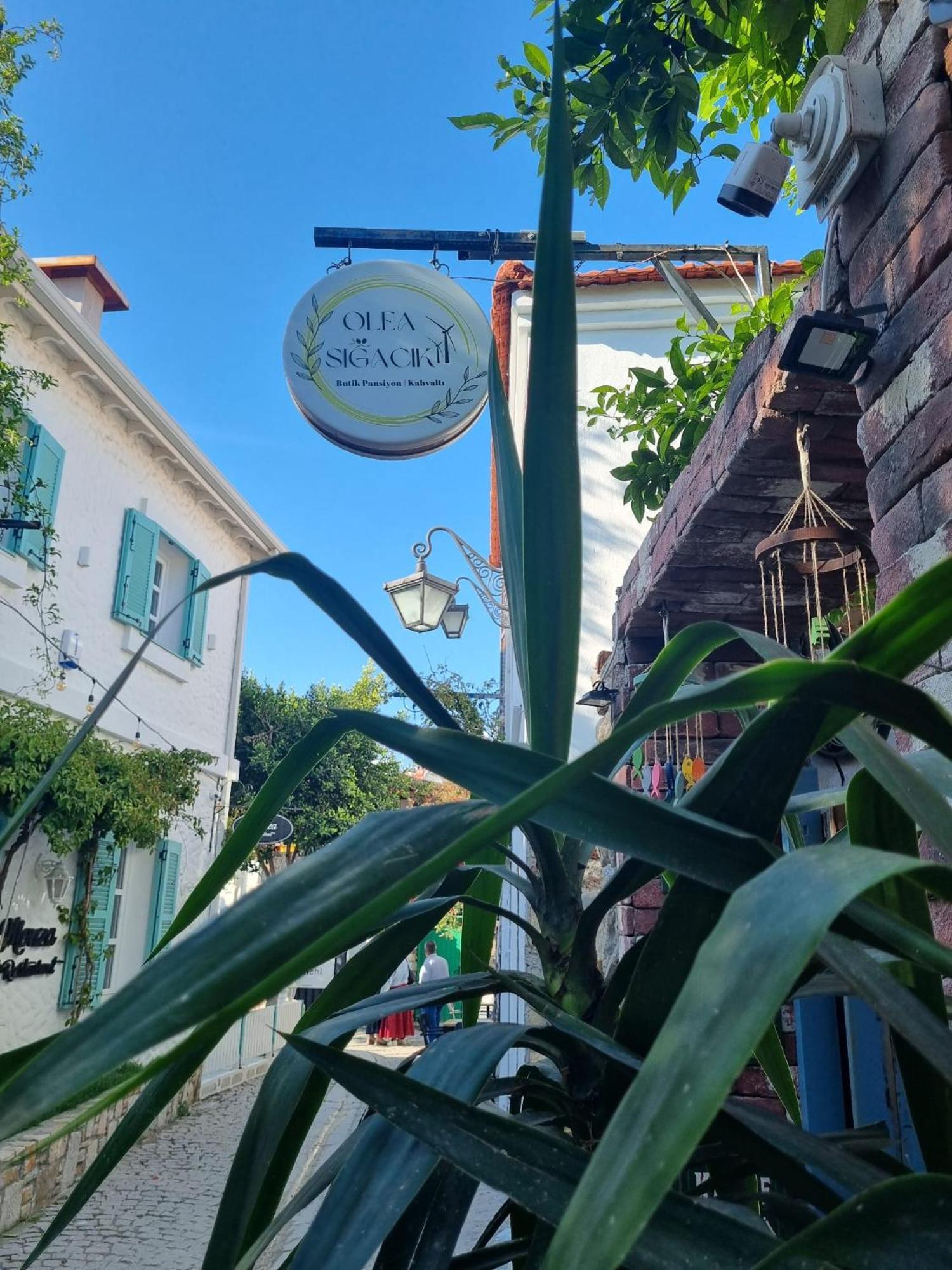 Olea Sigacik Pansiyon & Bistro Seferihisar Exterior photo