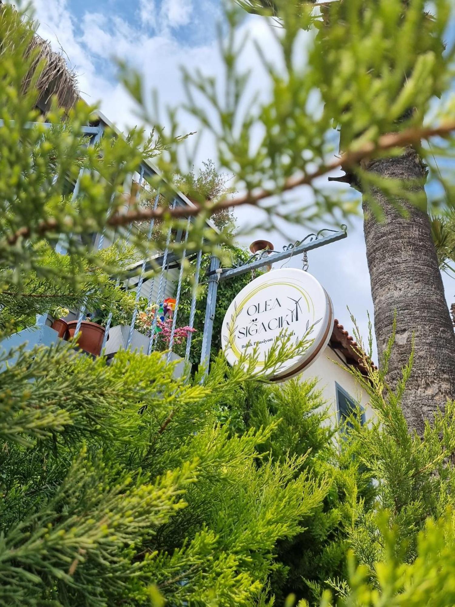 Olea Sigacik Pansiyon & Bistro Seferihisar Exterior photo